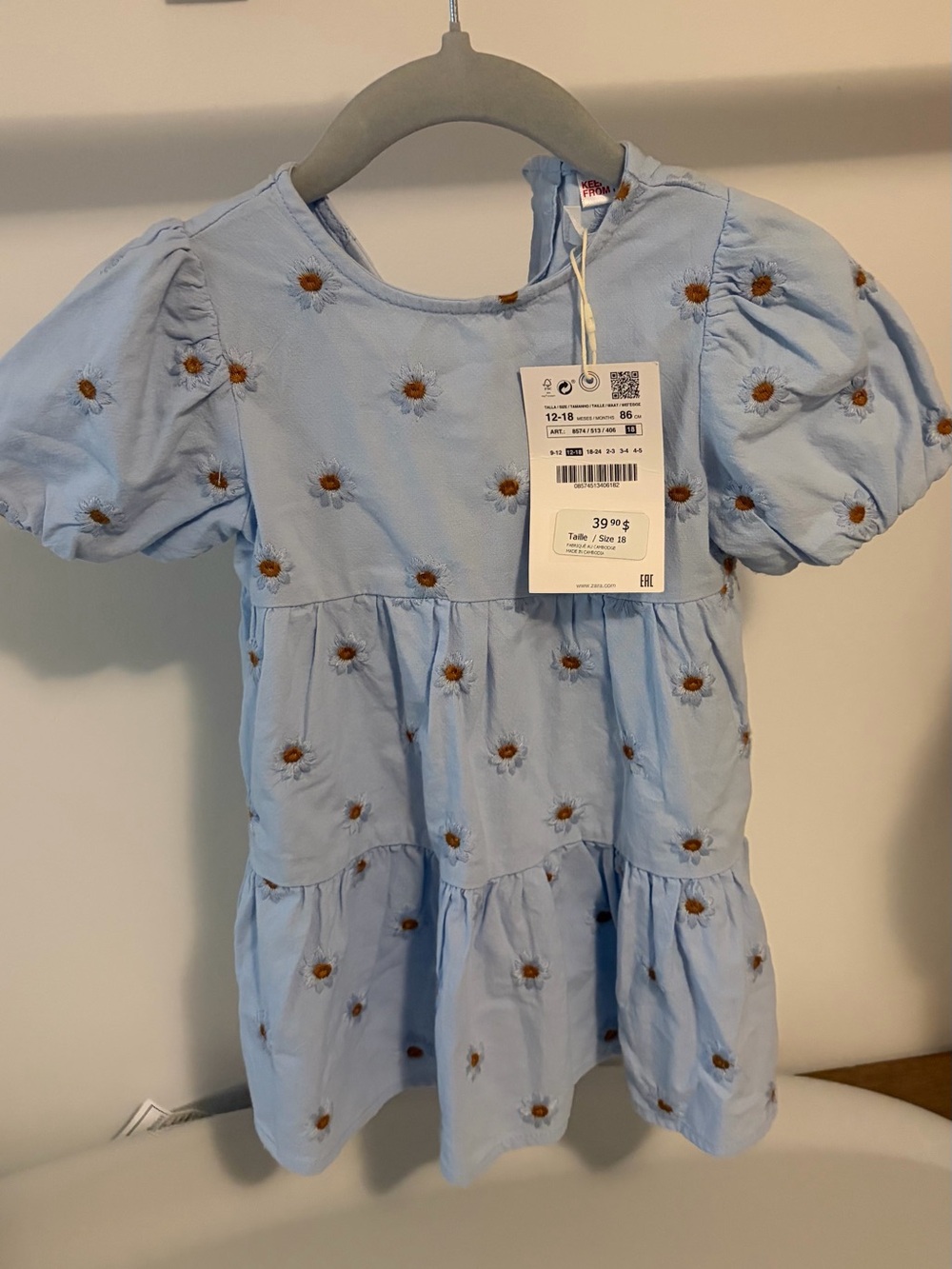 Zara Light Blue Dress with Brown Daisy Embroidery